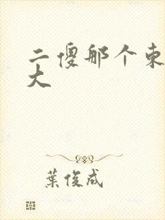 二傻那个东西真大