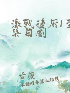 激战后厨1至5集日剧