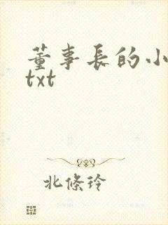 董事长的小王爷txt