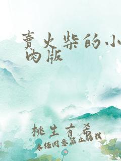 卖火柴的小男孩 肉版