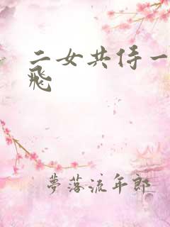 二女共侍一夫双飞