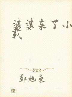 婆婆来了小说下载