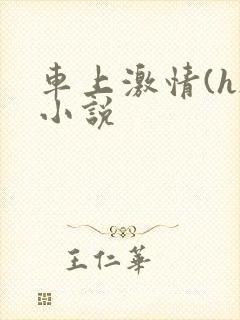 车上激情(h)小说