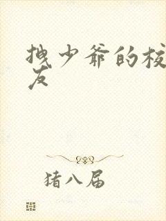 拽少爷的校花女友