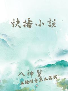 快播小说