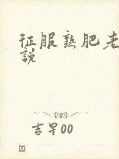 征服熟肥老妇小说