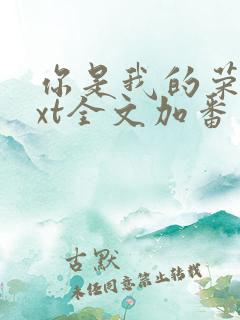 你是我的荣耀txt全文加番外