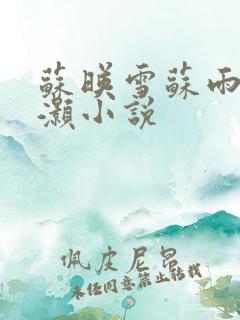 苏映雪苏雨柔苏灏小说