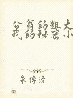 公翁的粗大放进我的秘密小说