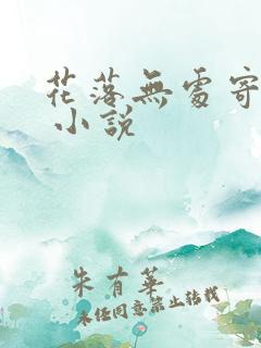 花落无处寄相思 小说