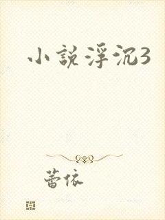 小说浮沉3