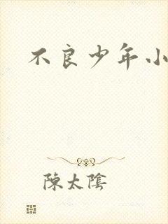 不良少年小说