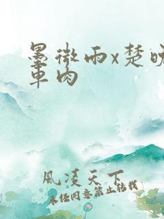 墨微雨x楚晚宁车肉