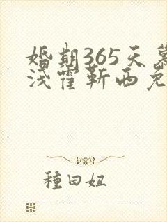 婚期365天慕浅霍靳西免费阅读