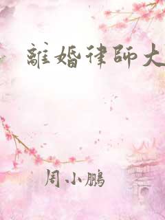 离婚律师大结局