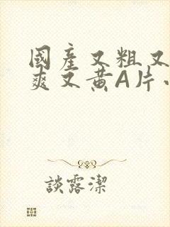 国产又粗又猛又爽又黄A片小说