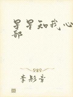 星星知我心第二部