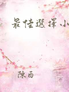 最佳选择小说