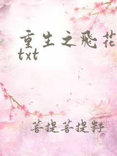重生之飞花落照txt