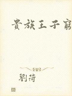 贵族王子穷公主