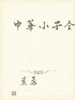 中华小子全集