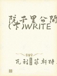 院子里公开惩戒(下)WRITE