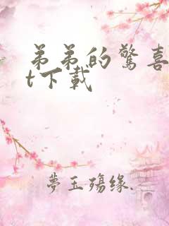 弟弟的惊喜txt下载