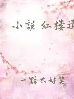 小说 红楼遗秘