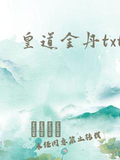 皇道金丹txt
