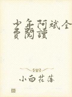 少年阿斌全文免费阅读