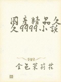 国产精品久久久久9999小说