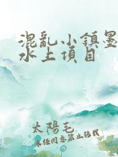 混乱小镇墨池砚水上项目