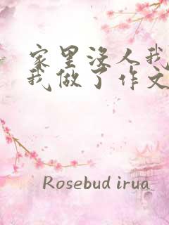 家里没人我哥把我做了作文