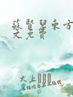 苏贤儿东方衍全文免费