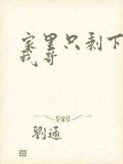 家里只剩下我和我哥