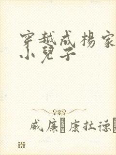 穿越成杨家将最小儿子