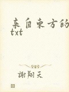 来自东方的骑士txt