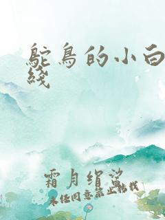 鸵鸟的小白脸路线