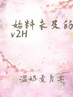 始料未及的软1v2H