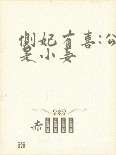 侧妃有喜:公主是小妾