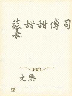 苏甜甜傅司衍机长