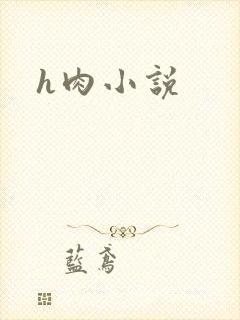 h肉小说