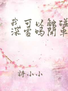 我可以触碰你的深处吗开车作文