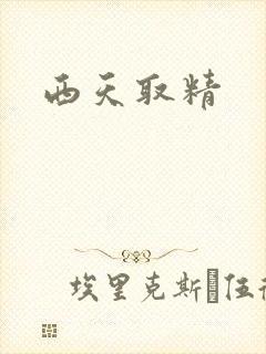 西天取精