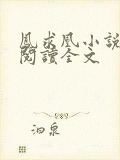 凤求凰小说免费阅读全文