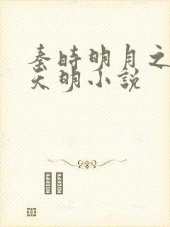 秦时明月之夜尽天明小说