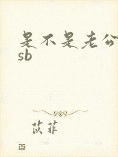 是不是老公的小sb