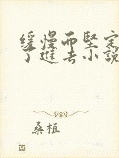 缓慢而坚定的送了进去小说