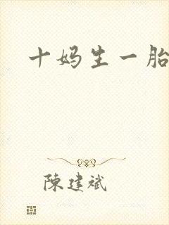 十妈生一胎