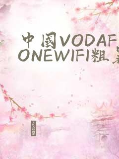 中国VODAFONEWIFI粗暴APP